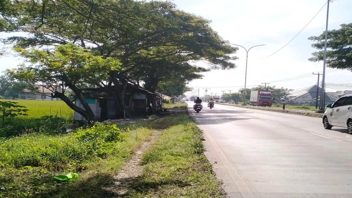 Penertiban Warung Remang-remang di Subang Terkesan Tak Serius, Warga Resah masih Banyak yang Beroperasi