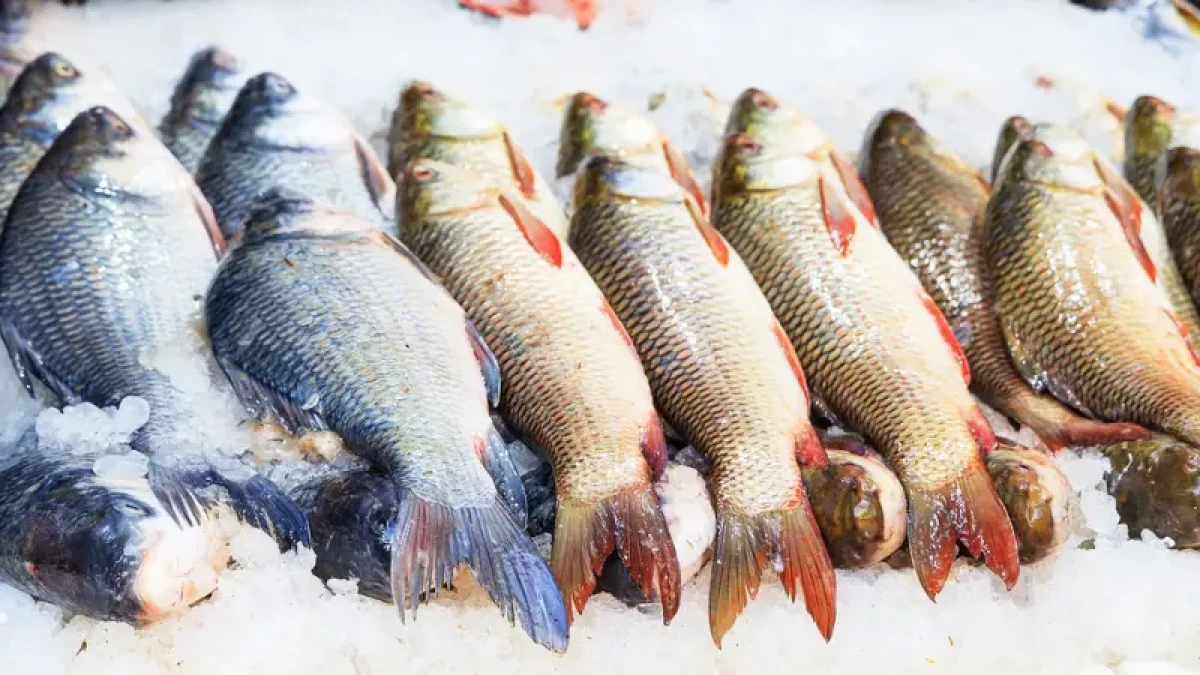 Angka Konsumsi Ikan Masyarakat Subang Makin Naik, Tahun 2024 Paling Tinggi