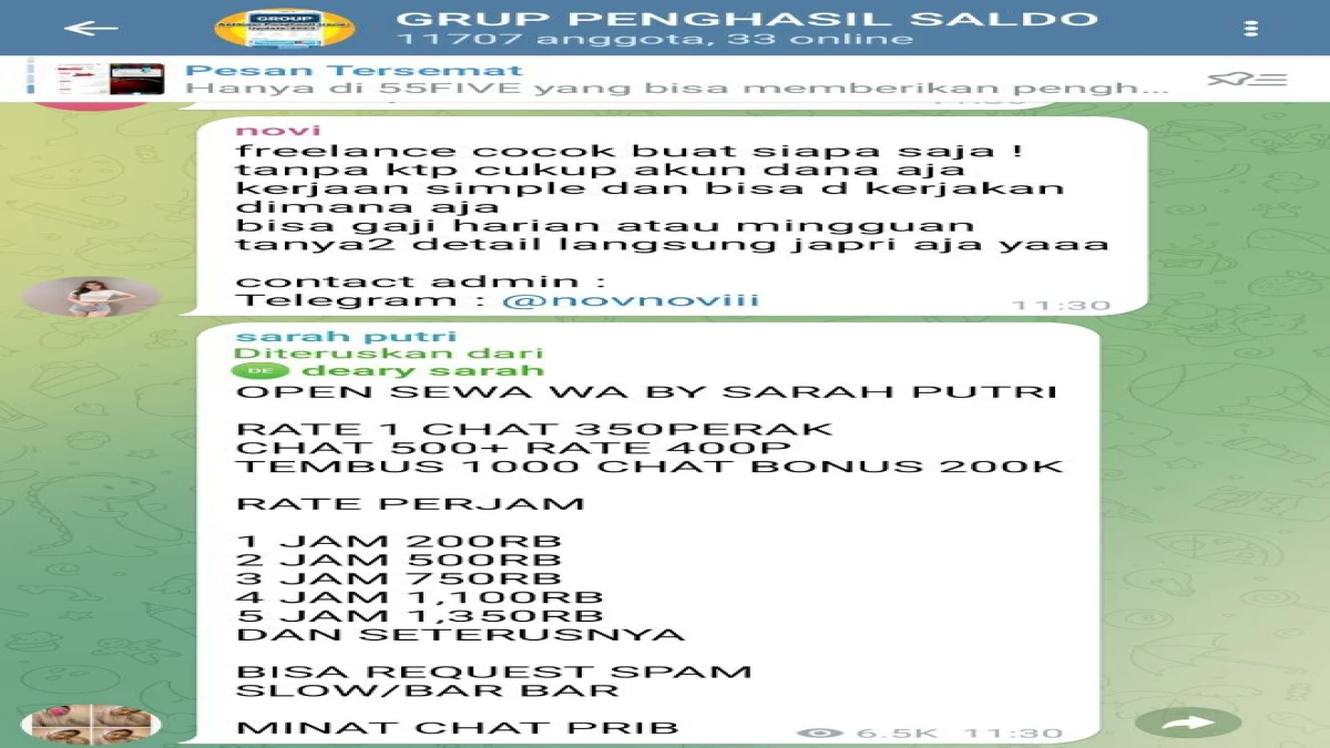 20+ Grup Telegram Dan WhatsApp Terpercaya Penghasil Saldo DANA Gratis 2025!