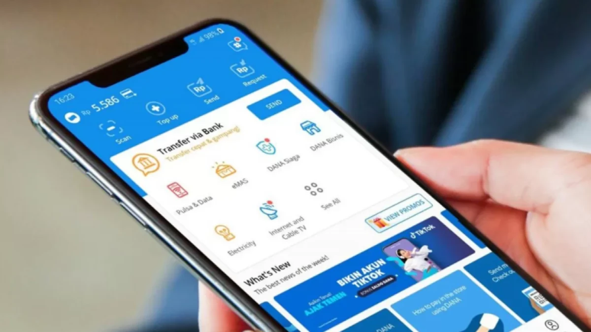 Pinjam Saldo DANA 100 Ribu Bayar Nanti: Begini Cara dan Syaratnya