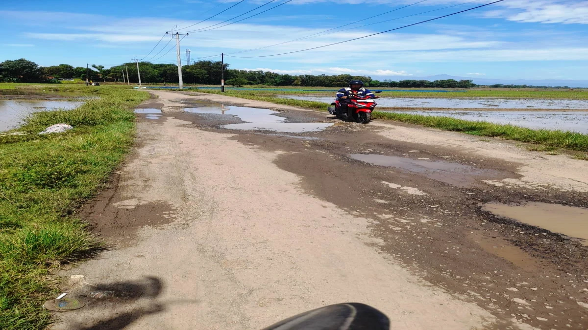 Jalan Cipicung-Parigimulya Cipunagara Rusak Berat, Warga Kosambi Minta Pemkab Subang Segera Perbaiki