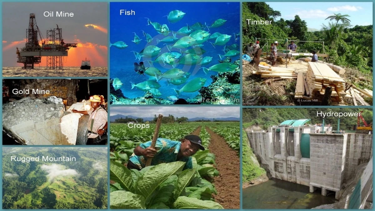 Mengelola Sumber Daya Alam untuk Masa Depan Berkelanjutan: Nature-Based vs Human-Based ?