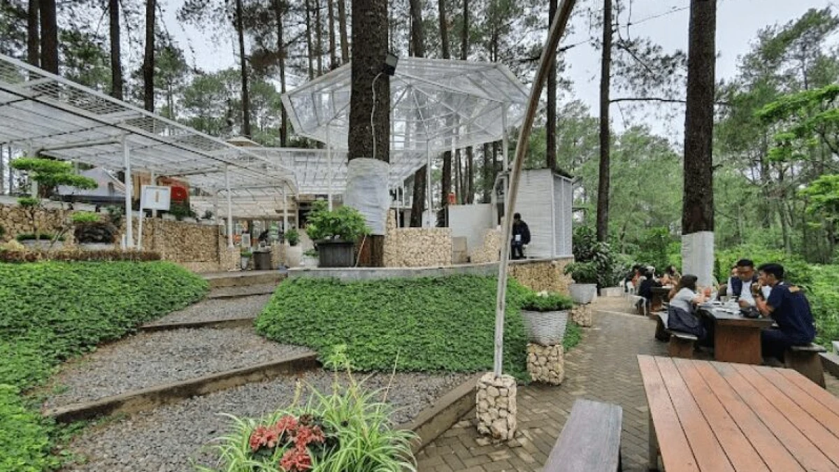 Daftar Wisata Hutan Pinus Subang, Cocok untuk Kamu yang Butuh Healing