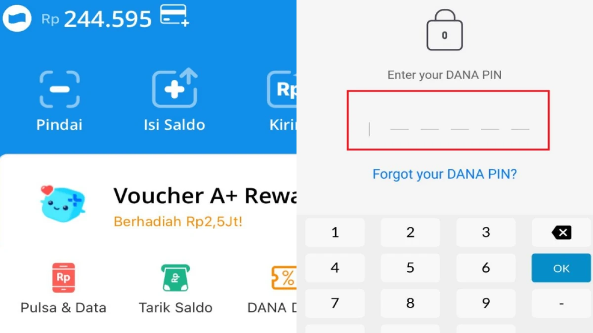 Cara Ganti PIN DANA yang Lupa, Begini Caranya