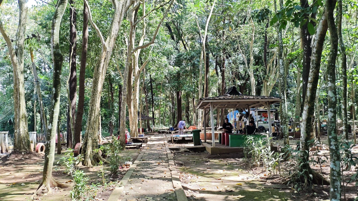 Hutan Kota Ranggawulung di Subang Menuju Tahura yang Minim Anggaran