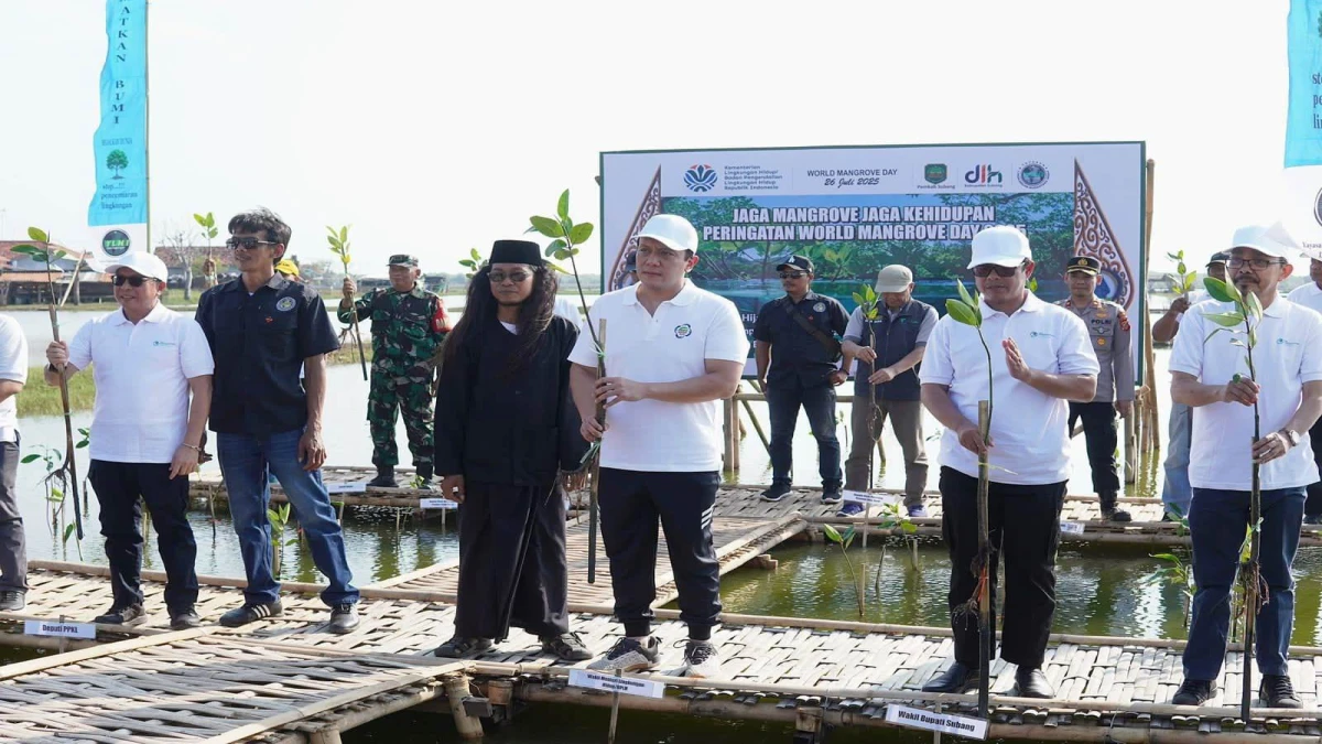 Pemda Dorong Kelestarian Mangrove di Pesisir Pantura Subang, Berkelanjutan untuk Antisipasi Kerusakan Lingkungan