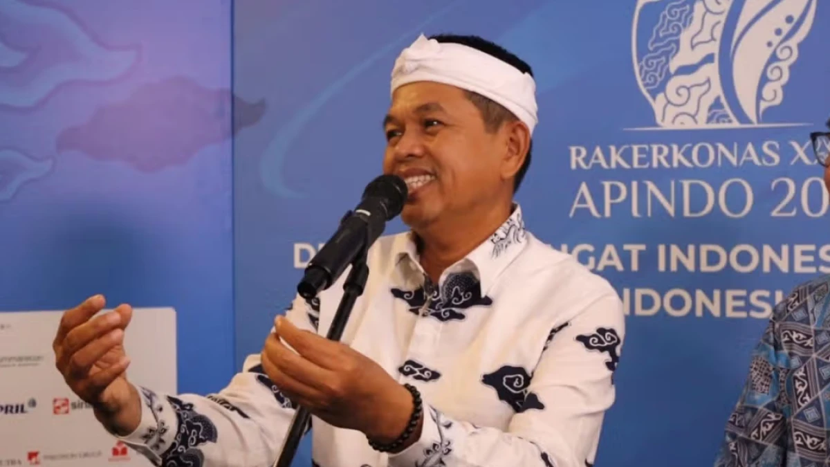 Dedi Mulyadi Jelaskan Alasan Bendera One Piece Diizinkan Berkibar di Jawa Barat