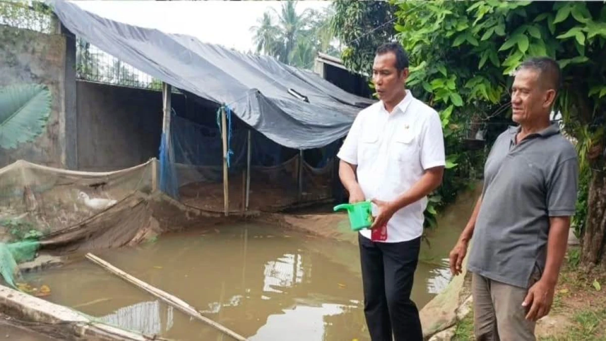 Kelompok Nurul Nila Gurame Dawuan di Subang Produksi Pakan Mandiri, Lepas Ketergantungan pada Pabrikan