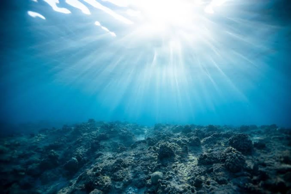 Misteri Kedalaman Laut: Dari Kedalaman Rekor Dunia Hingga Challenger Deep