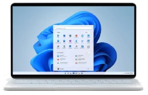 Windows 11