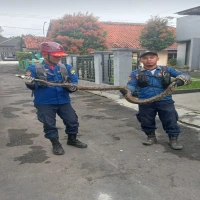 Damkar Subang