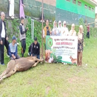 Keluarga besar SDN Sukahayu melaksanakan kegiatan kurban secara kolektif dengan menyembelih satu ekor sapi.