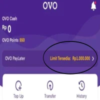 Cara Pinjam Uang di OVO Paylater, Proses Mudah dan Cepat Dicairkan