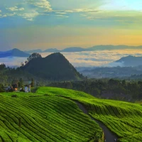 Tempat Wisata di Subang Paling Favorit untuk Healing