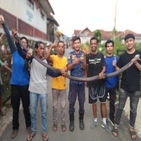 ular kobra subang