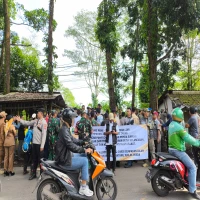 pegadang nanas