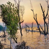 6 Tempat Wisata Alam Subang yang Tersembunyi, Hidden Gems paling Indah!