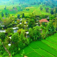 Bukan Cuma Ciater, Ini Dia 10 Wisata Subang Kebun Teh Paling Adem di 2025!