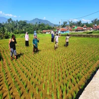 petani BPP Cisalak