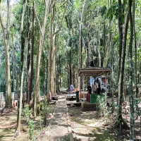 Hutan Kota Ranggawulung
