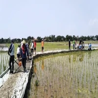 Pemdes Rangdu