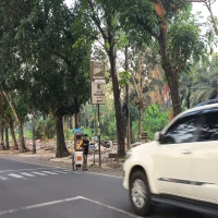 Pedagang Nanas Subang