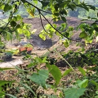 Tambang di Subang