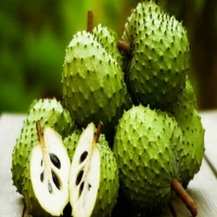 Manfaat Buah Sirsak untuk Kesehatan Tubuh